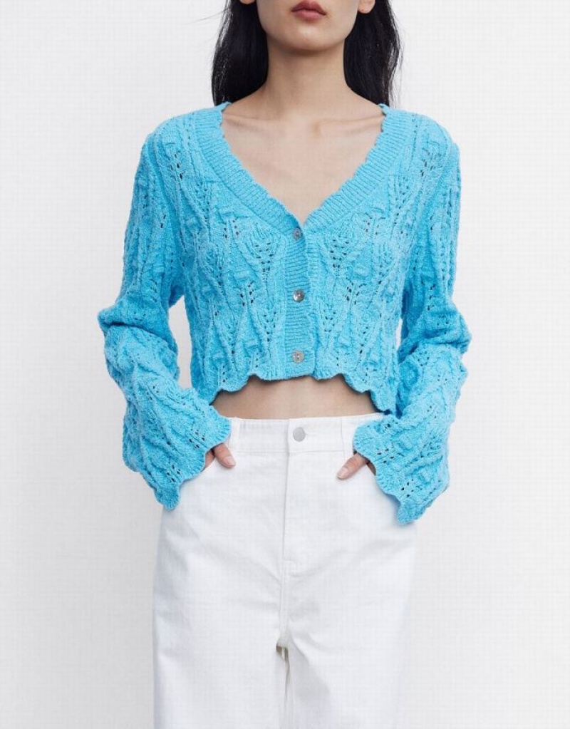 Blue Urban Revivo Pointelle Button Up Women's Cardigan | TWRFDQ-460