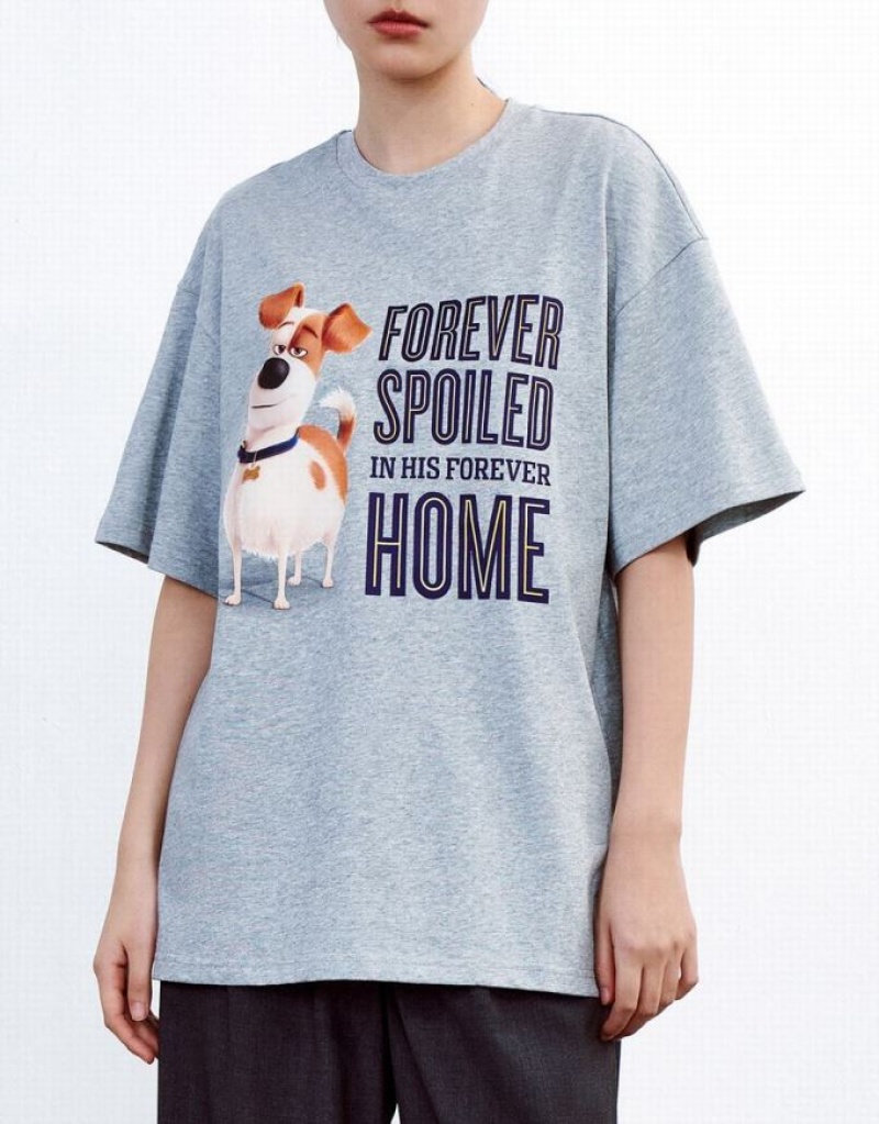 Grey Urban Revivo The Secret Life Of Pets Oversized Women's T-Shirts | IMFAHZ-857